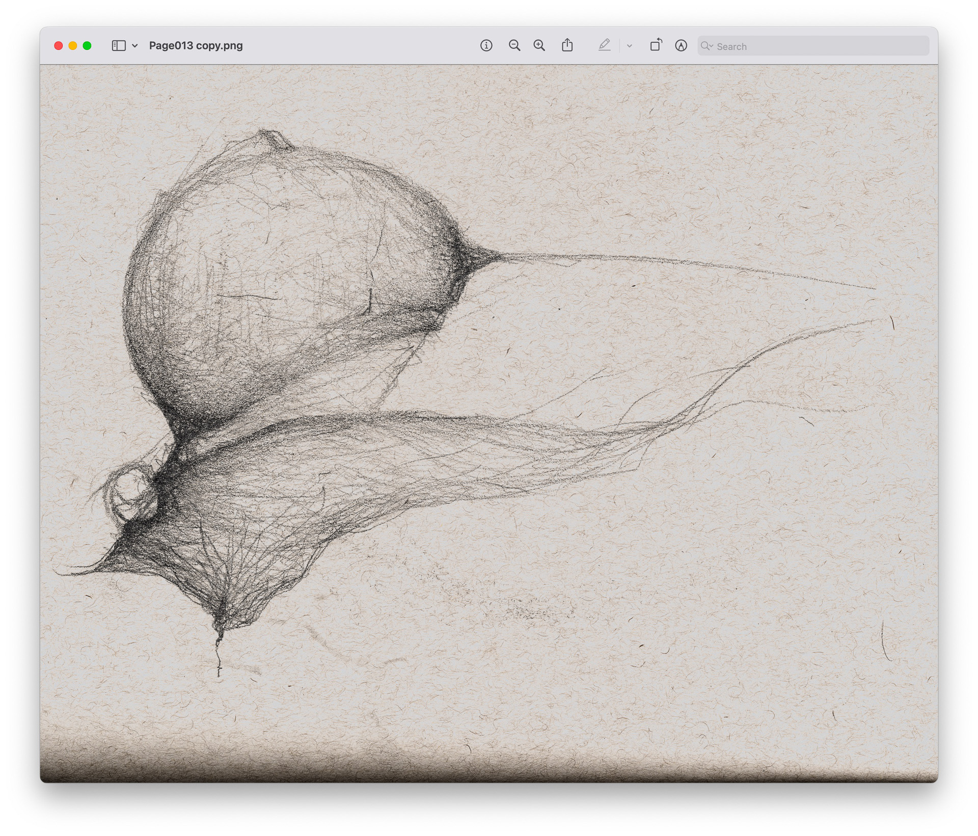 drawings made with simple lines