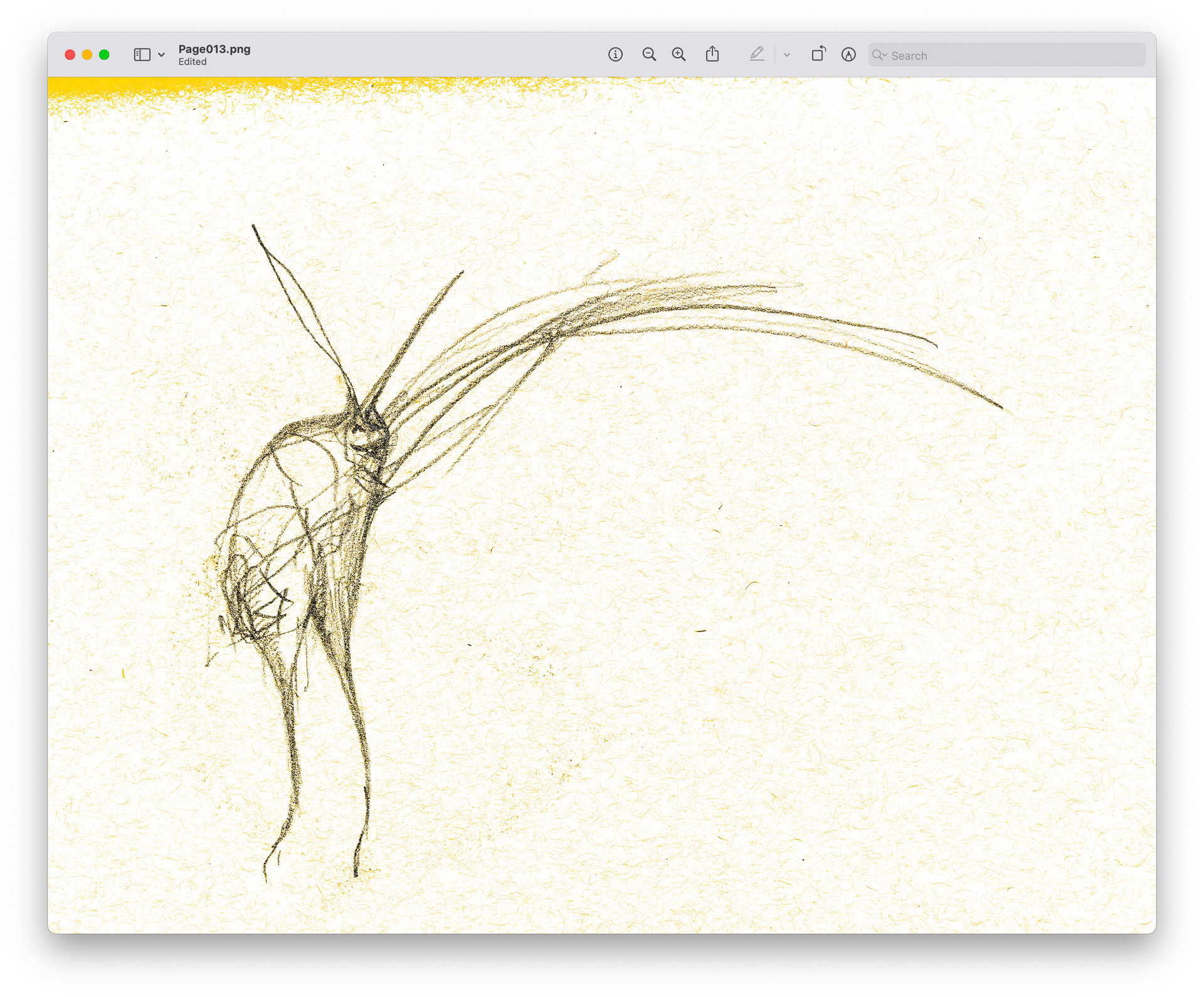 drawings made with simple lines