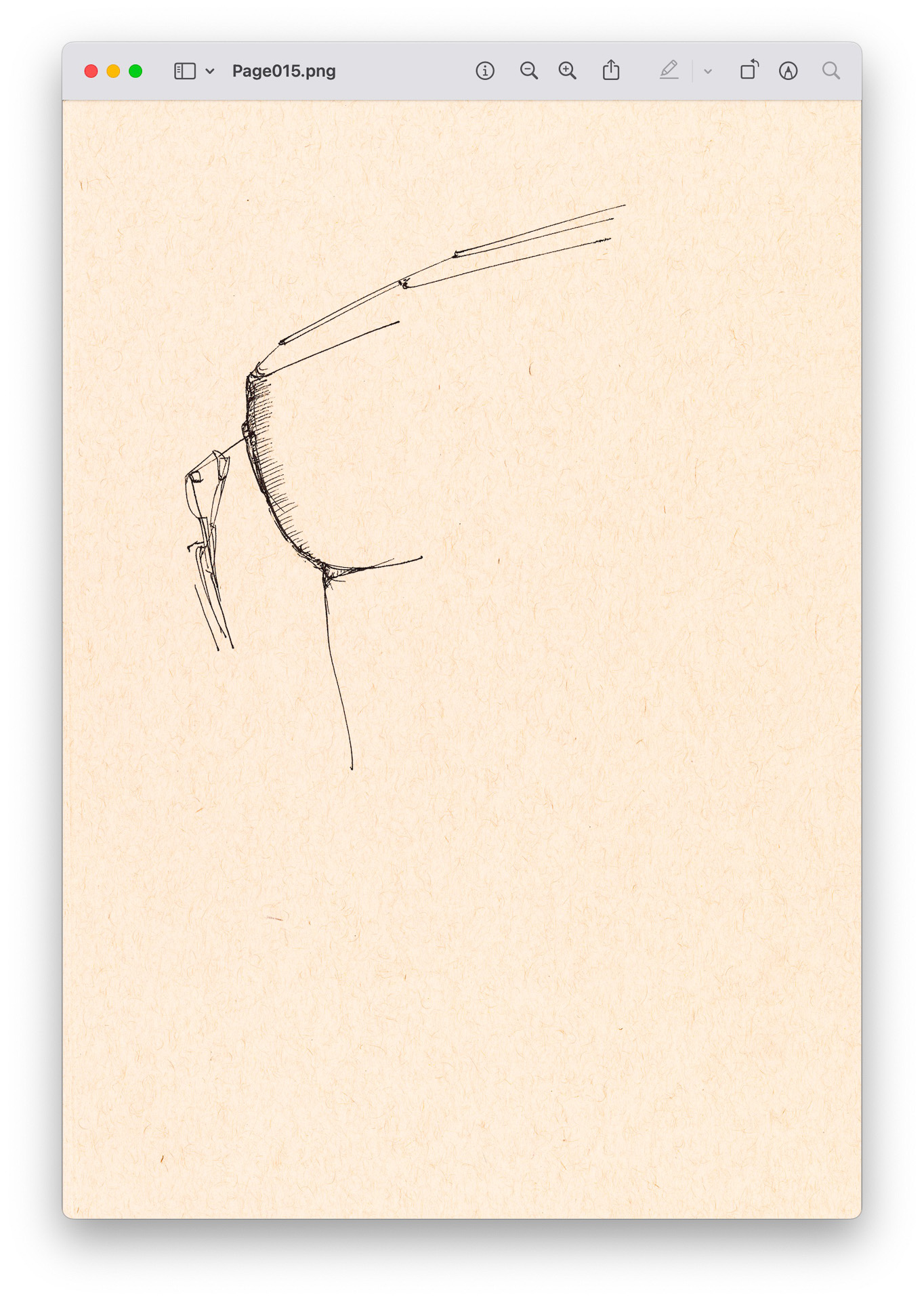 drawings made with simple lines