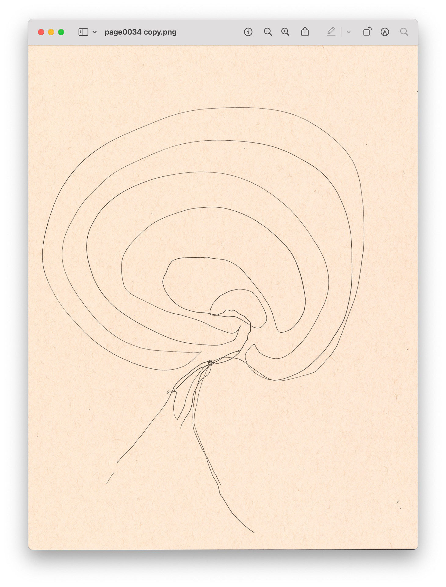 drawings made with simple lines